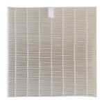 HEPA Filter for Fresh Air Double Plus